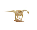 F toys Dinosaur Master 3 Realistic Dinosaur Figure Set (6-Pack), rear view