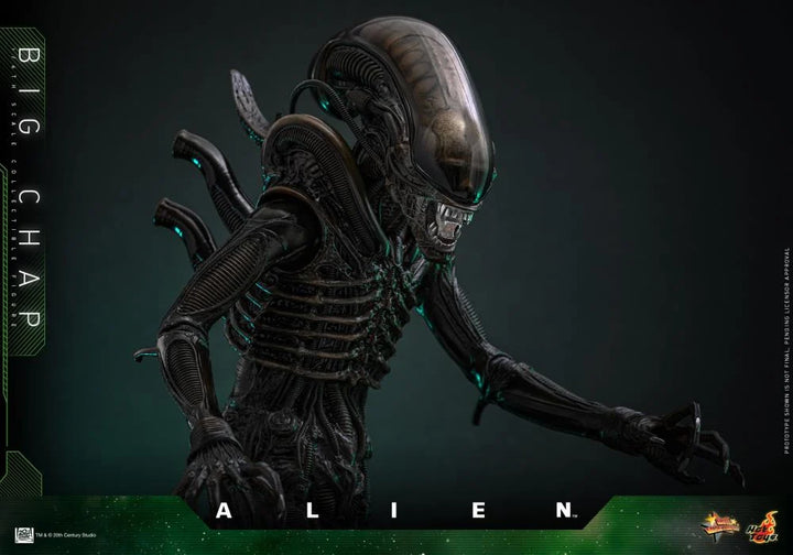Hot Toys Alien Big Chap 1/6th Scale Figure