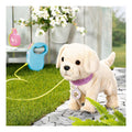 Baby Born My Dog Lucky with Box - Image