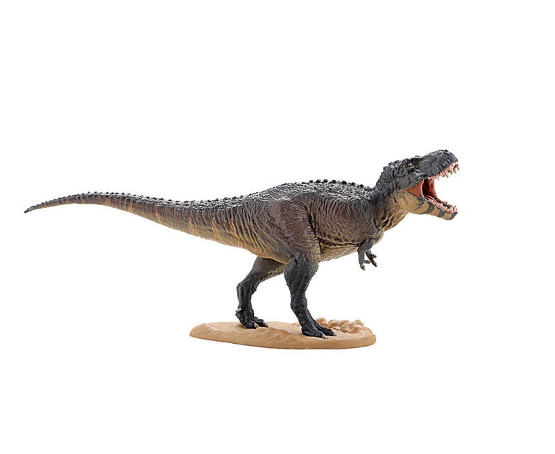 F toys Dinosaur Master 3 Realistic Dinosaur Figure Set (6-Pack), packaging shot