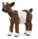Schleich Goat Kid