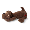 Pound Puppies - Weighted Snuggles Brown (Tray) - Image
