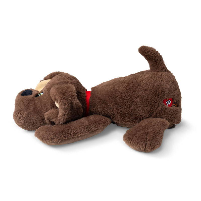 Pound Puppies - Weighted Snuggles Brown (Tray) - Image