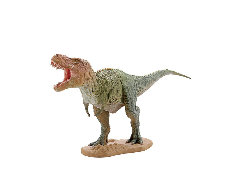 F toys Dinosaur Master 3 Realistic Dinosaur Figure Set (6-Pack), in display