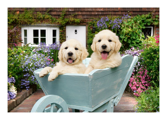 Golden Retriever, 200pc - Image