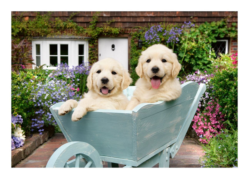 Golden Retriever, 200pc - Image