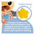 Lamaze Lovey the Pug - Image