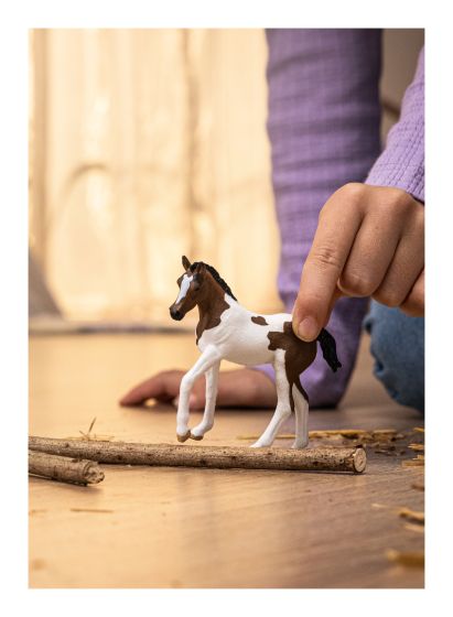 Schleich - Paint Horse Foal
