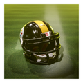 Transformers x NFL Steelsmash (Case of 3)
