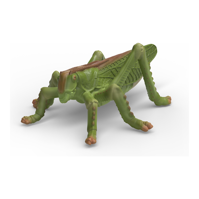 Schleich - Insects Discovery Set