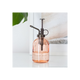 Pink Minimalist Glass Plant Mister