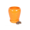 Carrot Shaped Plant Pot with Parsley Seed Balls