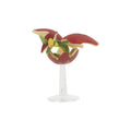 Pokemon Battle Figure 3 Pack W27 - Image