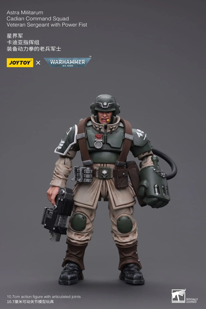 JoyToy Veteran Sergeant (Cadian Command Squad) Warhammer 40K 1/18 Scale Action Figure