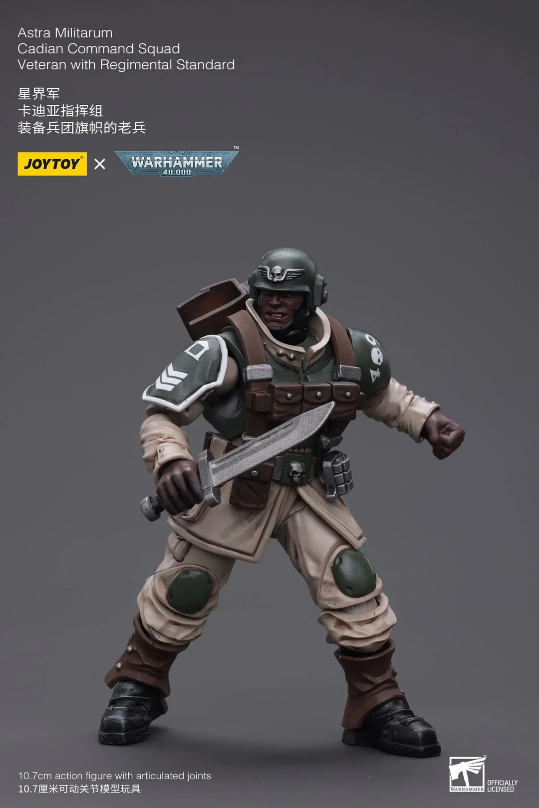 JoyToy Veteran with Regimental Standard Warhammer 40K 1/18 Scale Action Figure