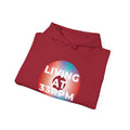 'Living at 33rpm' Men's Hoodie, packaging shot