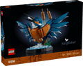 Lego Icons 10331 Kingfisher Bird Model Set for Adults Ages 18 and Up collectible from Curious Minds