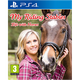 My Riding Stables Life With Ho - PlayStation 4
