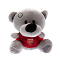 Arsenal FC Timmy Bear, alternate view