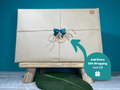 Grow Your Own Herbs Gift Set, showing reverse