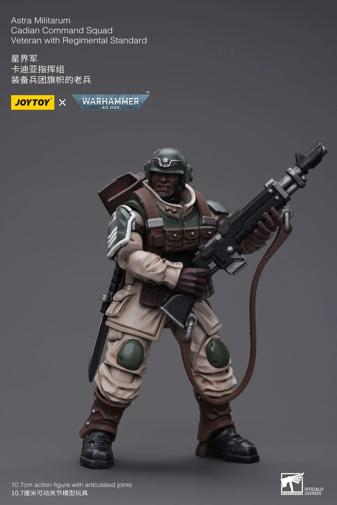 JoyToy Veteran with Regimental Standard Warhammer 40K 1/18 Scale Action Figure