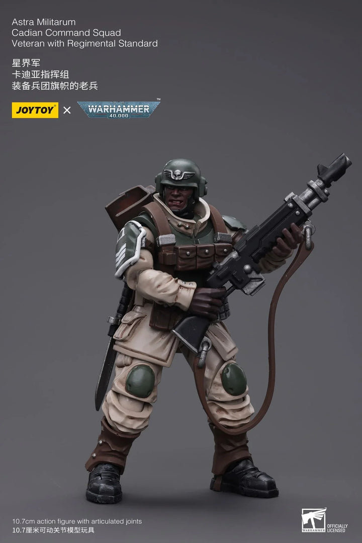 JoyToy Veteran with Regimental Standard Warhammer 40K 1/18 Scale Action Figure