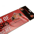 Sunderland AFC Colour Street Sign, side angle
