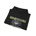 'Records Make Me Happy' Men's Hoodie, rear view