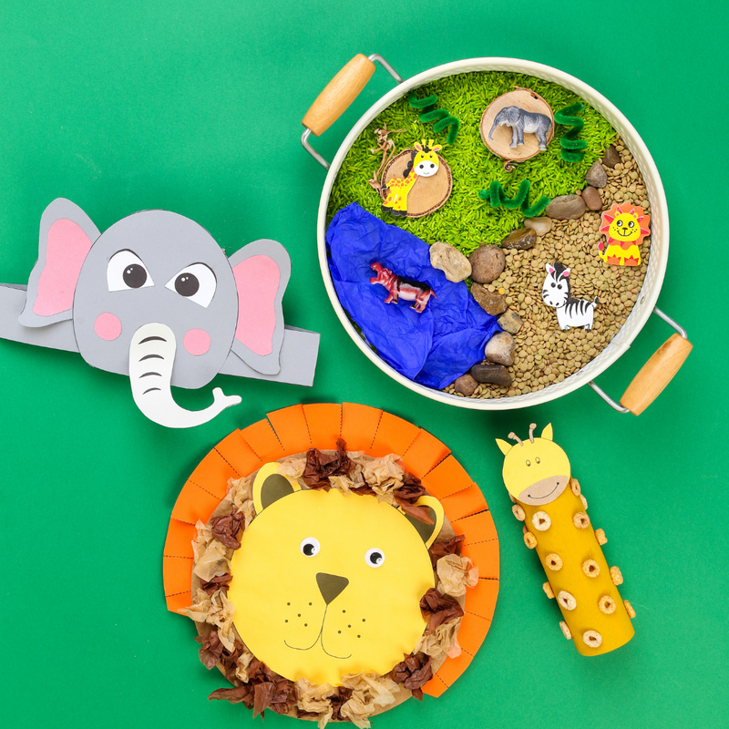 Safari Activity Kit, in display