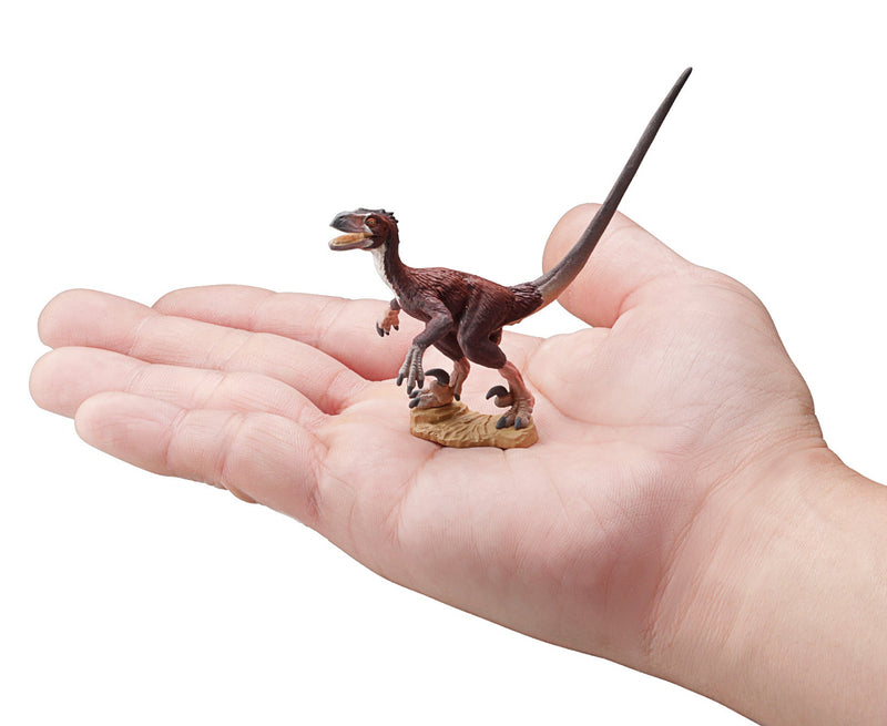 F toys Dinosaur Master 3 Realistic Dinosaur Figure Set (6-Pack), showing reverse