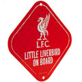 Liverpool FC Little Liverbird Sign, alternate view