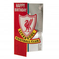 Liverpool FC Liverbird Birthday Card, close-up detail