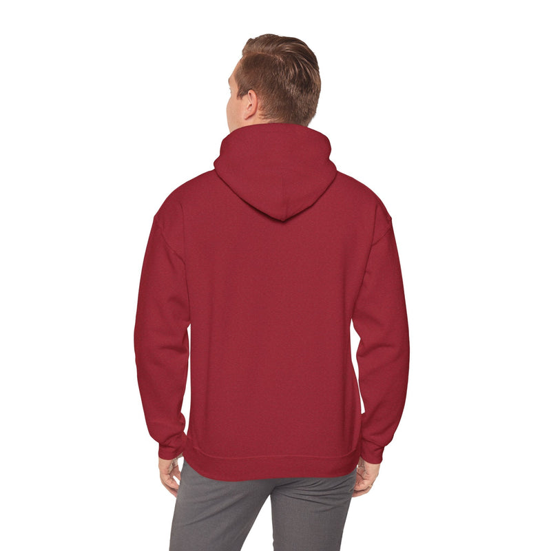 'Life Sounds Better on Vinyl' Men's Hoodie, product detail