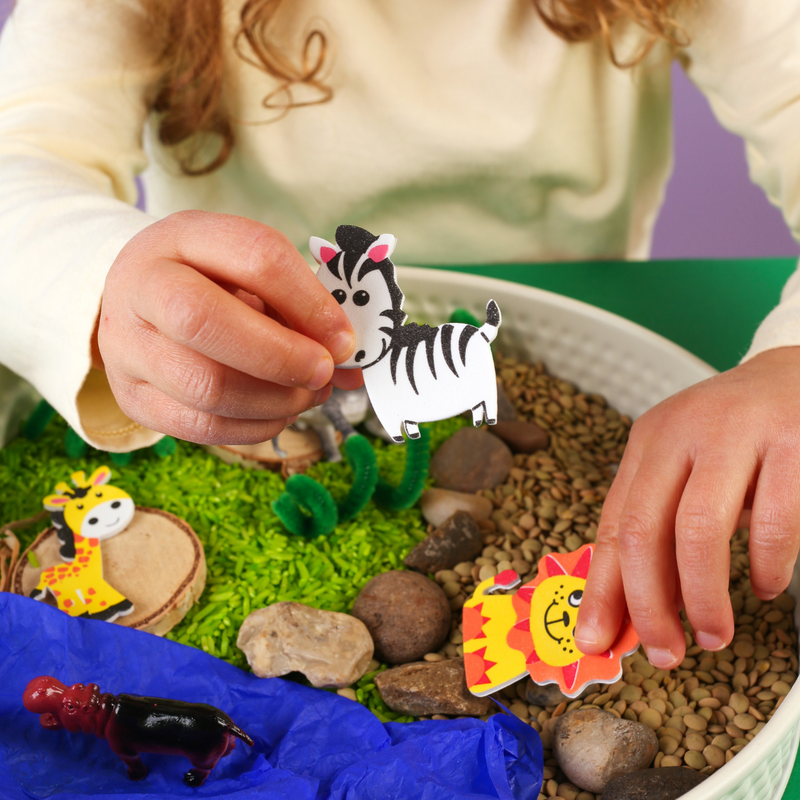Safari Activity Kit, showing reverse