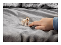 Schleich - Artic Wolf Cub - Image