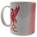 Liverpool FC Halftone Mug collectible from Infinity Collectibles 2026