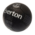 Everton FC React Skill Ball
