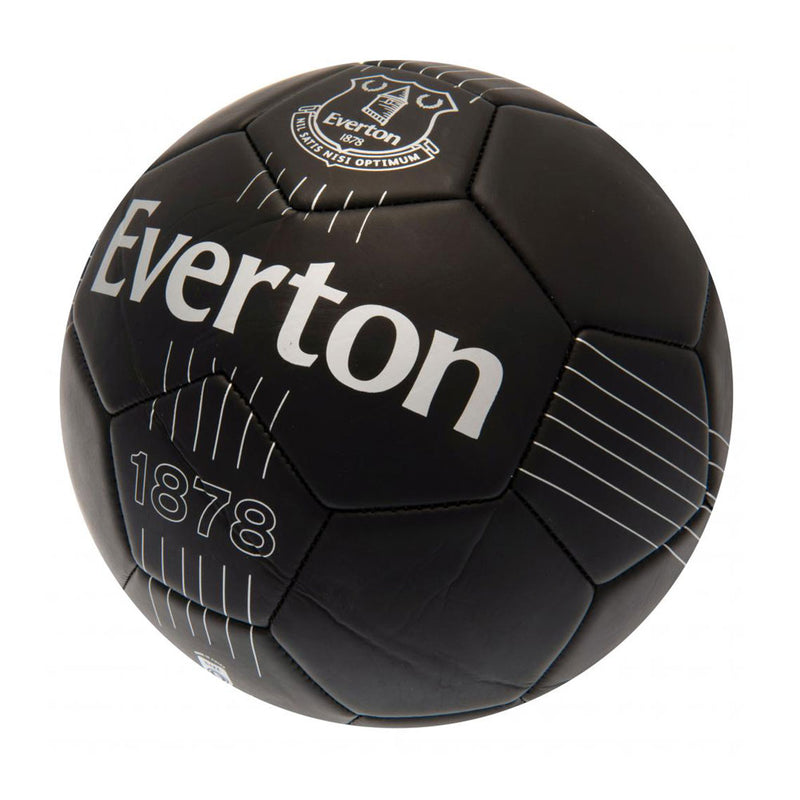 Everton FC React Skill Ball