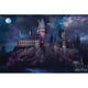 Harry Potter Poster Hogwarts Night