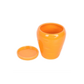 Carrot Shaped Plant Pot with Parsley Seed Balls