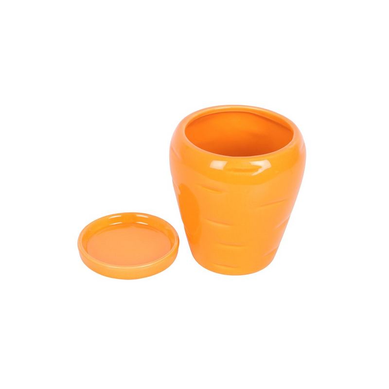 Carrot Shaped Plant Pot with Parsley Seed Balls