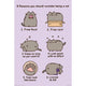 Pusheen Poster Reasons