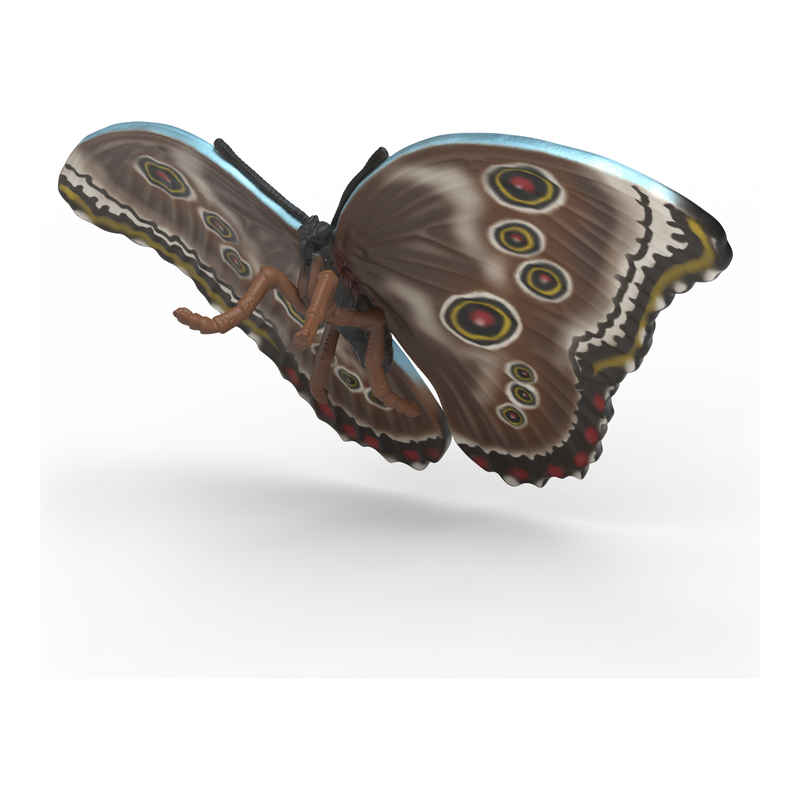 Schleich - Insects Discovery Set