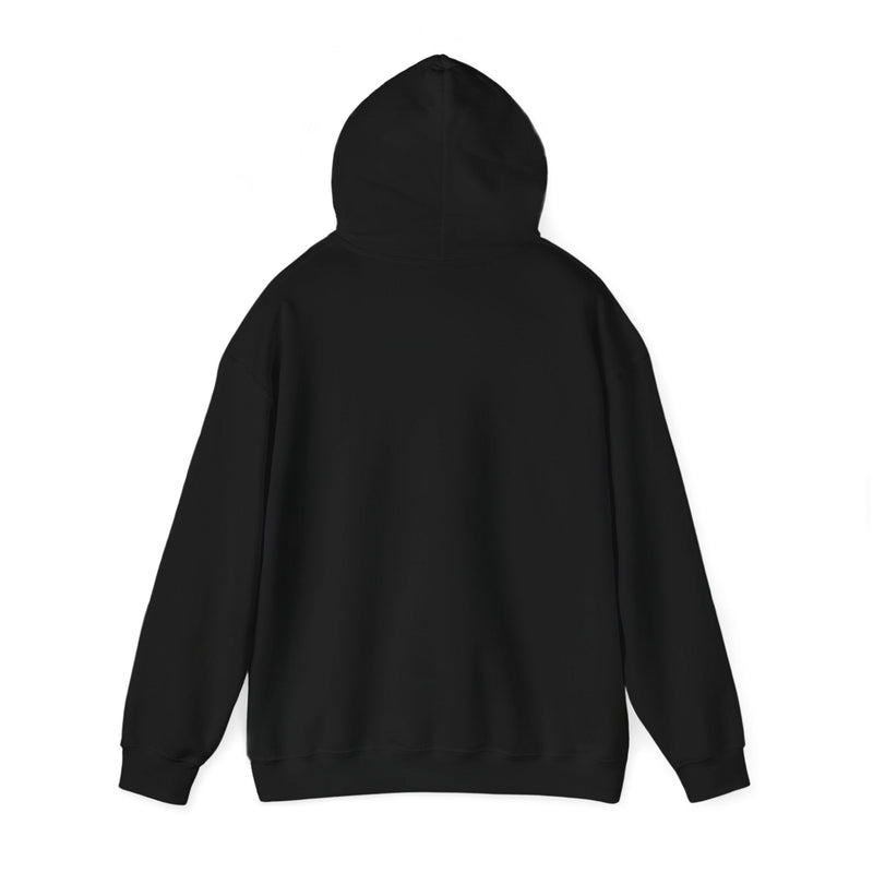 'Life Sounds Better on Vinyl' Men's Hoodie, in display