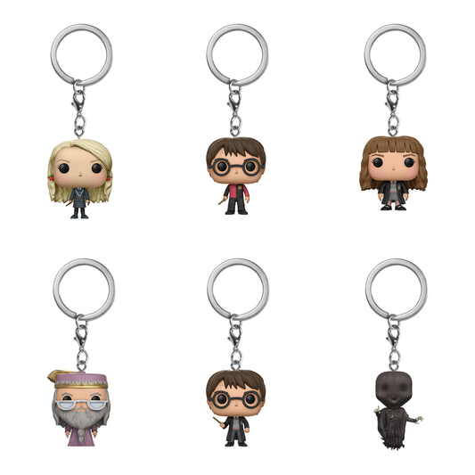 Pop! Mystery Keychain - Harry Potter