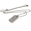 Tottenham Hotspur FC Engraved Dog Tag & Chain, alternate view