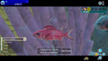Endless Ocean Luminous - Nintendo Switch in-game view