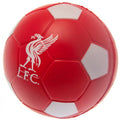 Liverpool FC Stress Ball, alternate view