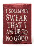 Harry Potter Premium Sequin Notebook collectible from Infinity Collectibles 2026