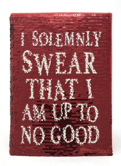 Harry Potter Premium Sequin Notebook collectible from Infinity Collectibles 2026